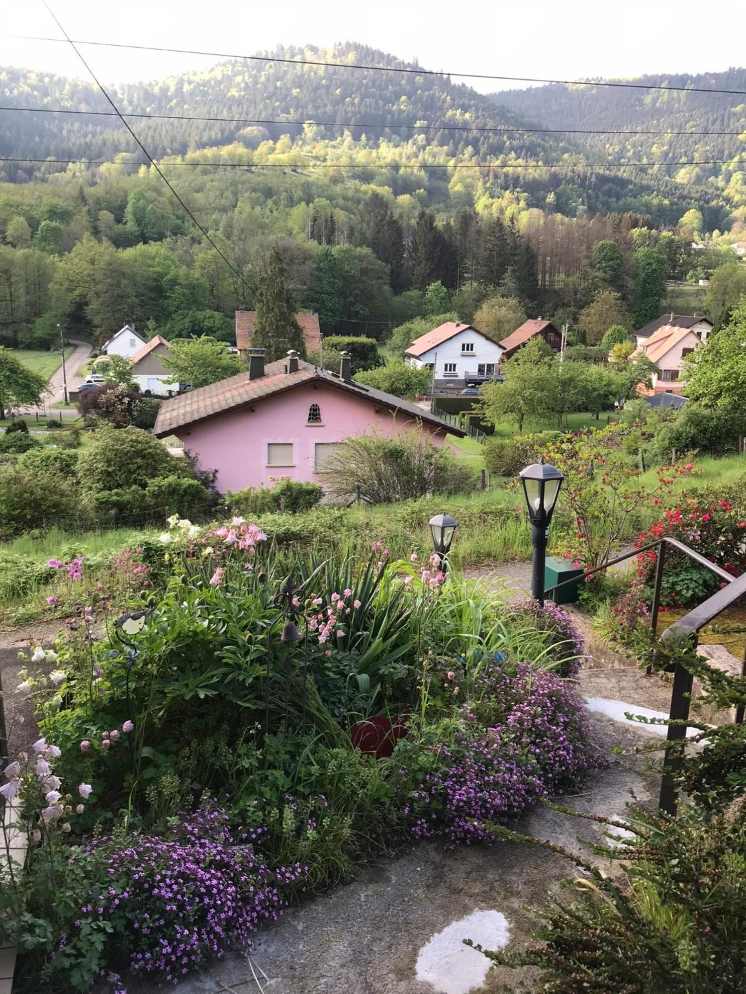 Gite Monts Et Merveilles Mollau Eksteriør bilde